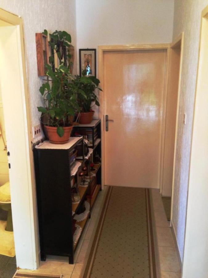 Guest House Ruza 杜布罗夫尼克 外观 照片